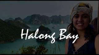 Ha Long Bay: Paradise of Vietnam | Travel Vietnam | Most Traveled |