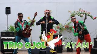 TRIO OJOL - AYAM (OFFICIAL MUSIC VIDEO)