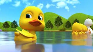 Little Ducks Jumping on the Farm! under the rainbow Song  | Junny Educational Videos 