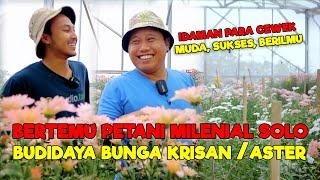 IDAMAN PARA CEWEK || PETANI MUDA MILENIAL SOLO SUKSES BUDIDAYA BUNGA KRISAN/ASTER - JURAGAN LAHAN