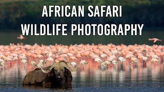 African Safari Wildlife Photography