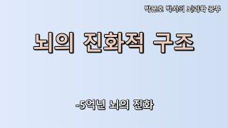 뇌의 진화적 구조(5억년 뇌의 진화)