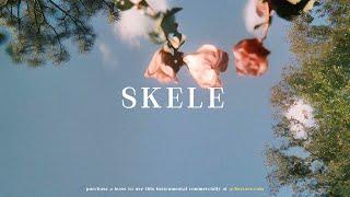 B Young x Wizkid Type Beat - "Skele" | Afrobeat Instrumental 2024