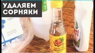 Удаляем сорняки с помощью уксуса  Remove the grass with vinegar