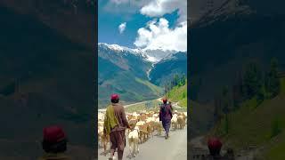 #naran #kaghan #nature #shortvideo