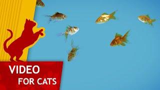 Movie for Cats -  Shoal of Gold Fish (Video for Cats) 4K