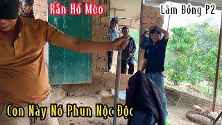 Lâm Đồng : Tiến Sâu Vào Rừng Chinh Phục Hổ Mang | Mười Thương SB