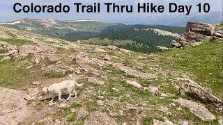 Day 10 on the Colorado Trail with my dog 2024