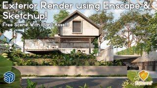 Tutorial Exterior Rendering Enscape & Sketchup | Free Scene & Plant Asset.