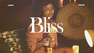 [FREE] Burna boy x Tyla x Ayra starr x Wizkid Afrobeat Instrumental - "Bliss"