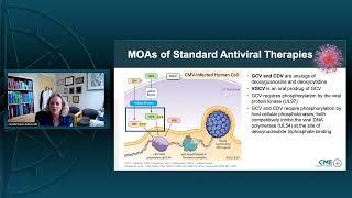 Cytomegalovirus in Stem Cell and Kidney Transplant: