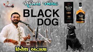 બ્લેક ડોગ ll હિતેશ અંટાળા ll Gujarati Jocks ll Hitesh Antala ll ગુજરાતી  જોક્સ ll 2024