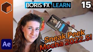 Office Hours 15: Sneak Peek of Mocha Pro 2022.5 [Boris FX Learn With Mary Poplin]