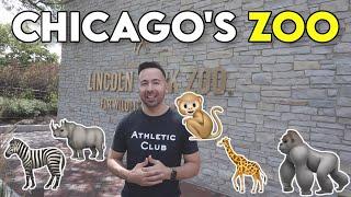The WILD Animals at Lincoln Park Zoo - Chicago Tour