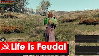 Life is Feudal: MMO русская версия, русский язык, русские сервера, русский сервер, русификатор