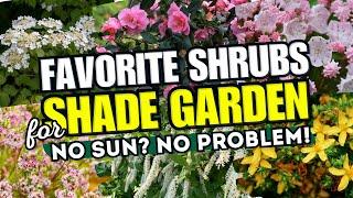  NO SUN? NO PROBLEM! These 10 Shrubs Will Make Your Shade Garden POP! 