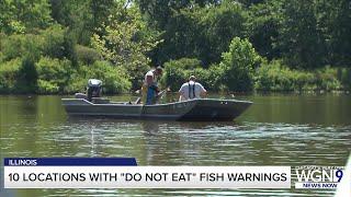 Illinois officials: ‘Do not eat’ these fish from these 10 bodies of water in the state