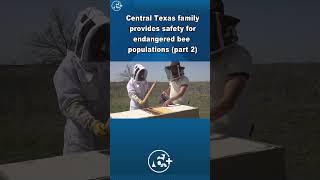 Central Texas family business offers sweet home for bees (Part 2)