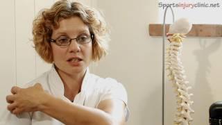 Frozen Shoulder / Adhesive capsulitis -  A Chiropractors View