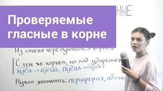 Проверяемые гласные в корне