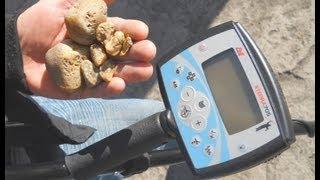 GOLD Specimens, Old Silver Coins & Relics w/ Minelab X-Terra 705 Metal Detector