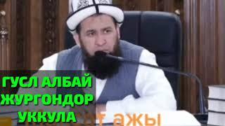 ГУСЛ АЛБАЙ ЖУРГОНДОР УККУЛА