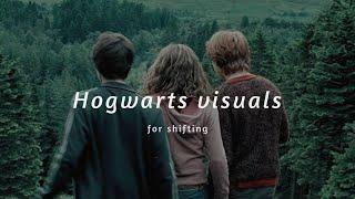 Hogwarts visuals | watch this before you try to shift