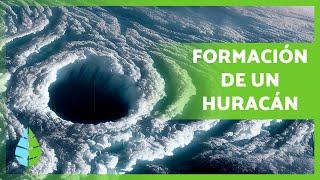 ¿Cómo se FORMAN los HURACANES?  | Definición, Formación y Categorías