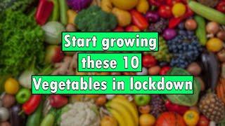 START GROWING THESE 10 FAST GROWING VEGETABLES DURING THIS LOCK DOWN.