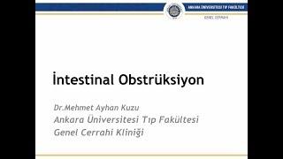 İntestinal Obstrüksiyon