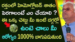 Khader Valli About How to Increase Blood Platelets and Hemoglobin | Telugu Healthy Tips