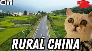 I Drove my Pets Deep into Rural China