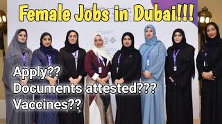 Female Jobs in Dubai | How female get job in Dubai?? #dubaijobs #dubailife Link number discription