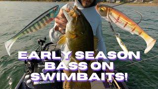 Thorne Bros. | Spring Smallmouth on Swimbaits!