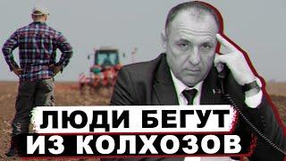 Сельское хозяйство Беларуси. Какие зарплаты в аграрном секторе? | Смотрим шире №21
