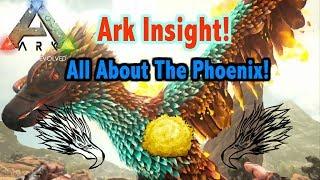 Ark Insight -  Phoenix!!