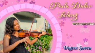 Puilu Dular Talang | Instrumental Version | Digeer Soren | Singrai Soren