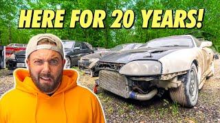 We found 100+ JDM cars HIDDEN on an ENGLISH FARM!