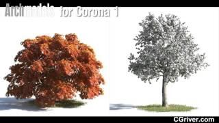 Evermotion Archmodels for Corona Vol. 1 - Trees and Plants - CGriver.com