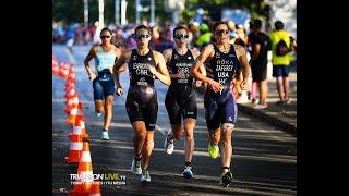 2019 World Triathlon Lausanne Grand Final - Elite Women's Highlights