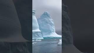 antartica ica video viral 2024#youtubeshorts  #antartica video