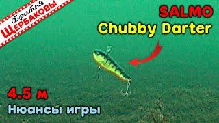СЕКРЕТЫ АНИМАЦИИ Chubby Darter от SALMO. Просто фантастическая игра! Подводные съемки на 4.5 м