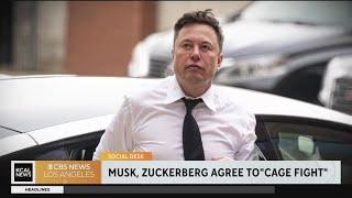 Musk v. Zuckerberg:  The two agree to cage fight