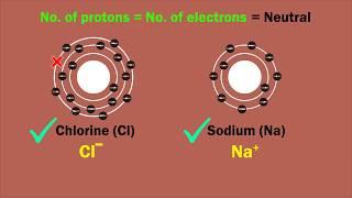 Understanding Cation and Anion. Positively and Negatively Charged Atom and molecules.