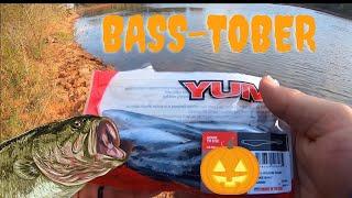 FALL FINESSE POND TECHNIQUES!! Bank Fishing a Weightless Fluke!