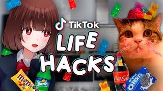 Hice los LIFE HACKS de TIKTOK más VIRALES con Capitán Gato *en la vida real*