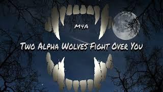 Two Alpha Wolves Fight Over You [M4A] ASMR Roleplay