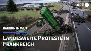 Massive Bauernproteste auch in Frankreich | AFP