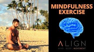 Mindfulness - Tidy Up Your Mind to Stand Taller - The Align Method