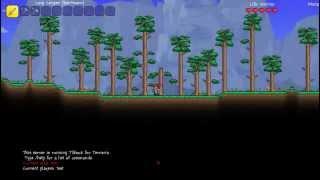 How to Make a Terraria Server (PlayVDS)